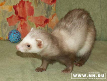 ������� :)