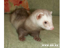 ��� ���?