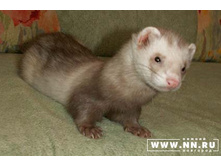 ��, ��� ��� ���?