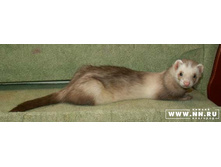 ��� � �����!