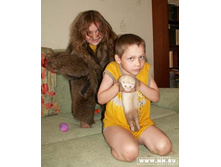 � �������, ������� �� ������� ����