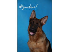 �������� ��� ���� ����� (������ �. �������� � ���� �� ������ ���)