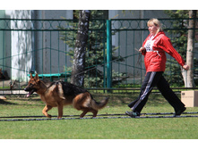 �������� ��� ���� ����� (������ �. �������� � ���� �� ������ ���)