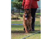 �������� ��� ���� ����� (������ �. �������� � ���� �� ������ ���)