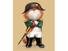 kot-napoleon.jpg