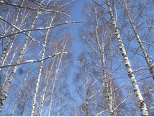 DSCF6074.JPG