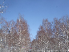 DSCF6076.JPG