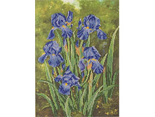 205 ����� (���� 970+%)