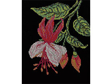 ������ ������ 140 (���� 370+%)