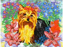 ��������� �-218 (���� 630+%)