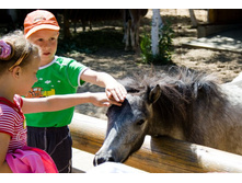 �������-4