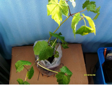 �������� ���������� ().JPG