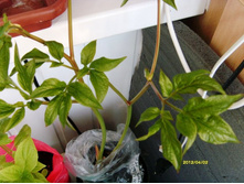 ���� ���� �����.JPG