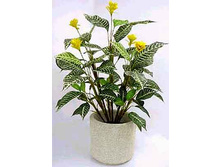 ��������� ������������.jpg