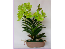 ����� 1.jpg