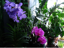 ����� 2.jpeg