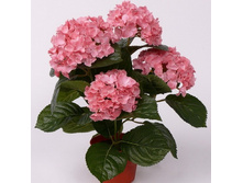 ��������� ���������.jpeg