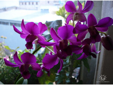 ���������� 1.jpeg