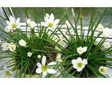 ���������� �����.jpg