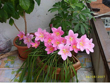 ���������� �������.jpeg