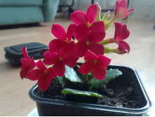 �������� ���������.jpg