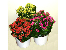 �������� 2.�pg.jpg