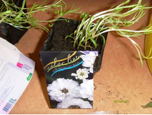 ������ ���������������.JPG