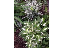 ��������������(No4)