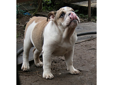 ��� �� 019.jpg