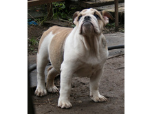 ��� �� 020.jpg