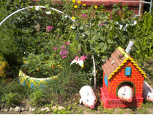 ���-���, ���-��� � ���-���