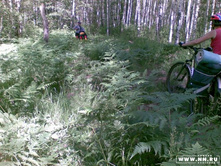 ������� �����