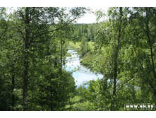 ������ ��� � 12 ����������