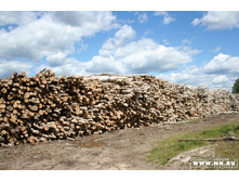 ��� �� �������� � ��������