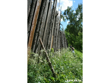 � ��� ���� �����