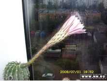 01.07.2008 22:59:46