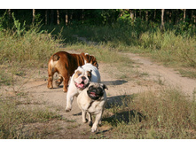 16 ������� �������� ������� 017.jpg