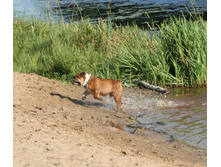 16 ������� �������� ������� 110.jpg