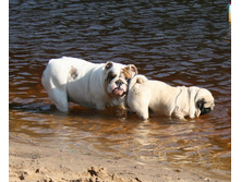 16 ������� �������� ������� 117.jpg