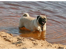 16 ������� �������� ������� 274.jpg