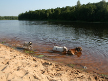 16 ������� �������� ������� 301.jpg