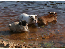 16 ������� �������� ������� 303.jpg