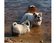 16 ������� �������� ������� 310.jpg