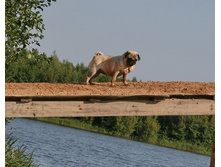 16 ������� �������� ������� 336.jpg