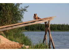 16 ������� �������� ������� 364.jpg