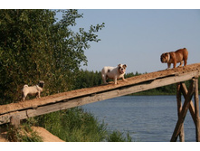 16 ������� �������� ������� 373.jpg