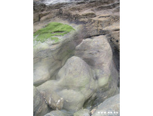 ���������� ����� (�����)