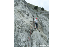 ��� �����