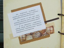 ��������