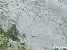 ����-���